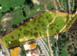 Tierra de inversión en Germasogeia, Chipre. 6 000 000 €