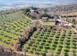 Viñedo 1305 m² en Gavorrano, Italia. 2 700 000 €
