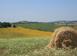 Tierra de inversión en Roccastrada, Italia. 7 000 000 €