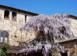 Oficina 550 m² en Grosseto, Italia. 1 400 000 €