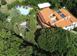 Hotel 950 m² en Pisa, Italia. 1 200 000 €