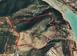 Tierra de inversión en Limasol (Lemesos), Chipre. 1 200 000 €