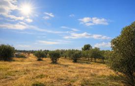 Terreno en Vodnjan, Croacia. 93 000 €