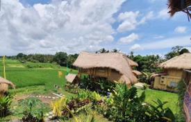 1 dormitorio chalet 50 m² en Ubud, Indonesia. 62 000 €