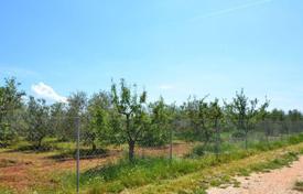 Terreno en Novigrad (Istria County), Croacia. 288 000 €