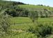 Tierra de inversión en Montalcino, Italia. 6 000 000 €