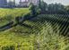 Tierra de inversión en Greve in Chianti, Italia. 4 500 000 €