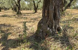 Terreno en Brtonigla, Croacia. 230 000 €